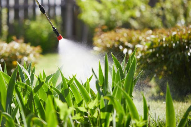 24/7 Emergency Mosquito Control experts in Double Springs, AL