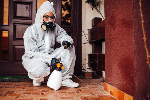 Reliable Mosquito Control contractor in Double Springs, AL by Show Me Pest Control